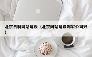 石河子北京自制网站建设（北京网站建设哪家公司好）